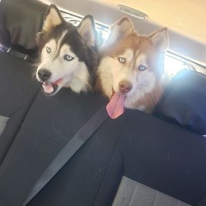 Meet your Posher, Denise